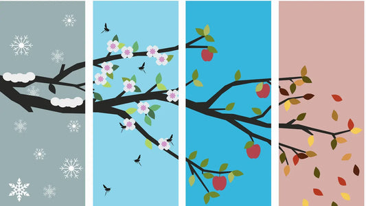 les quatres saisons sur la même images