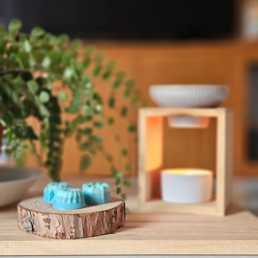 fondant parfumé farniente à Tahiti brule parfums